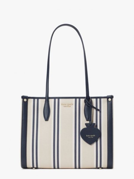 Kate Spade Women's Blazer Blue Multi Market Striped Canvas Medium Tote | Ireland Outlet